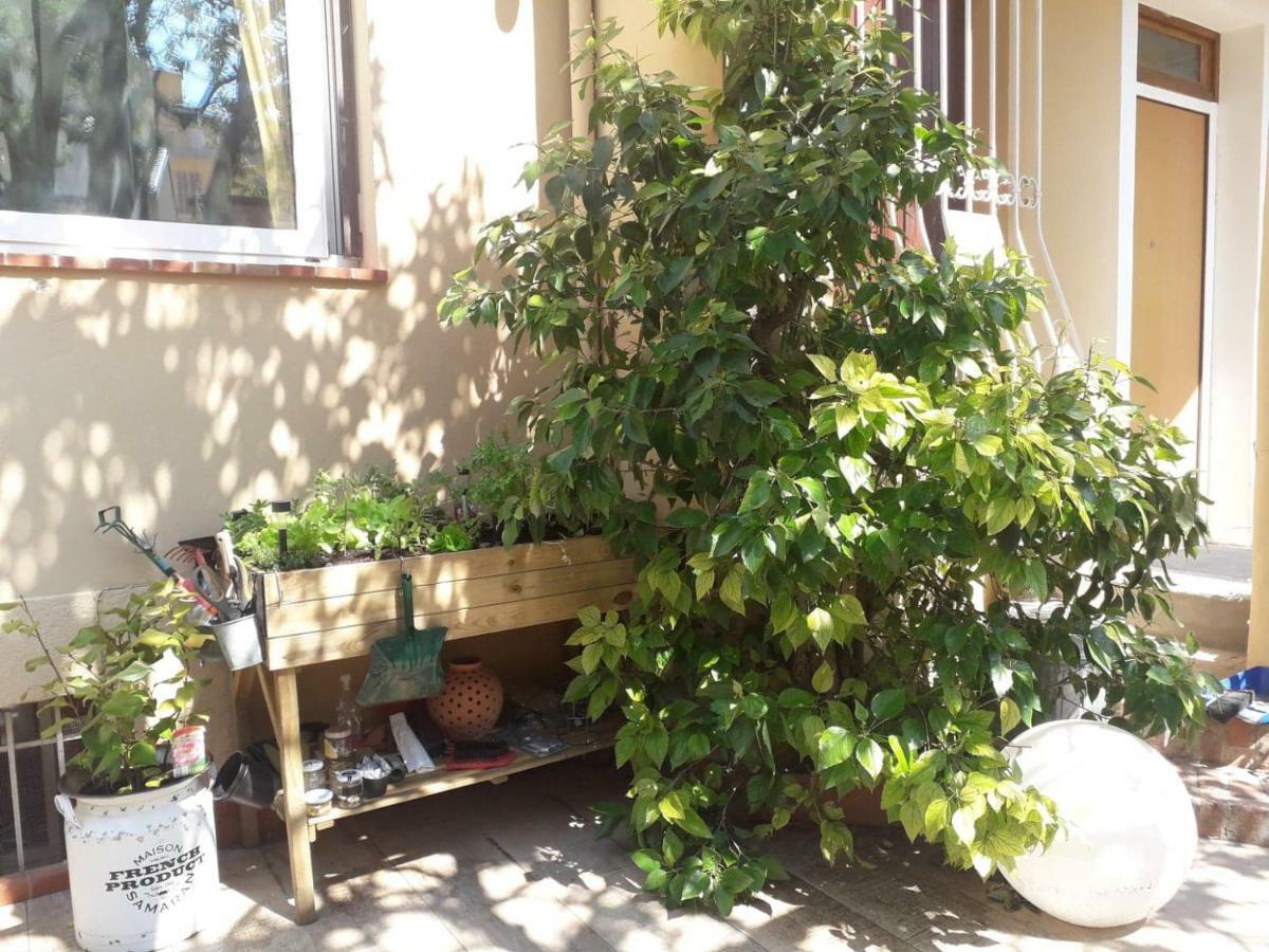 Villa La Clemente Menton Eksteriør billede